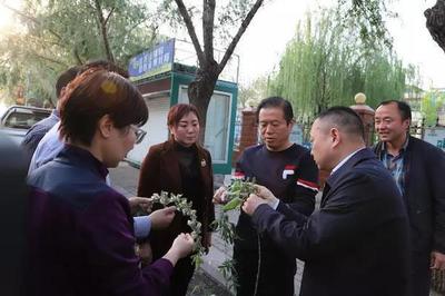 楊柳絮治理新探索 漯河市創(chuàng)新物業(yè)管理模式應(yīng)對(duì)飛絮季